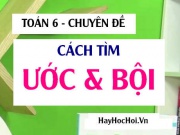 Cách tìm Ước chung lớn nhất (ƯCLN), Bội chung nhỏ nhất (BCNN) và Bài tập Toán 6